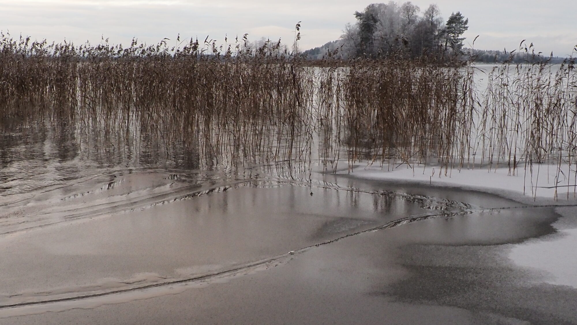 Valokuvaaja: Arja Valtonen