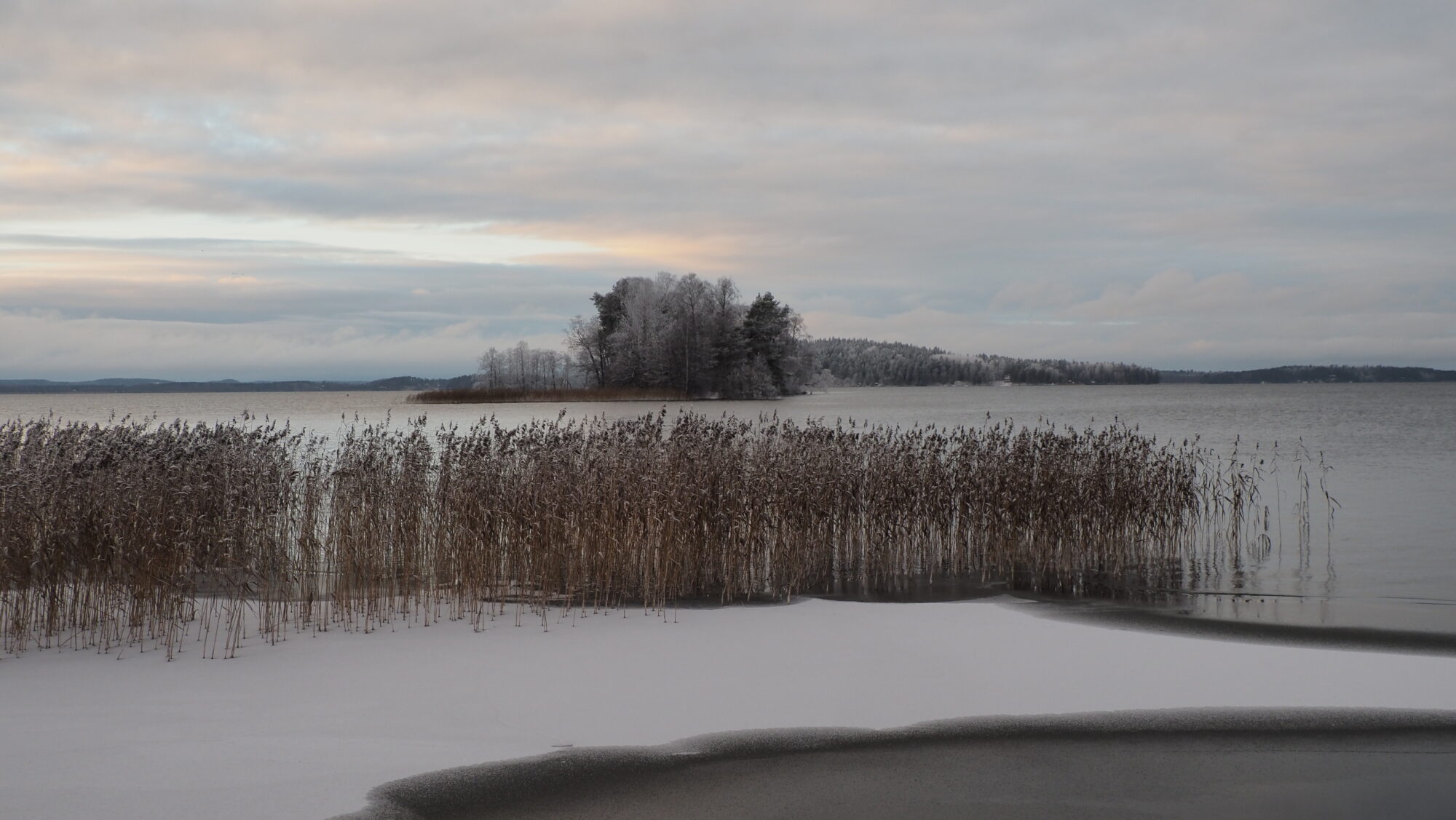 Valokuvaaja: Arja Valtonen