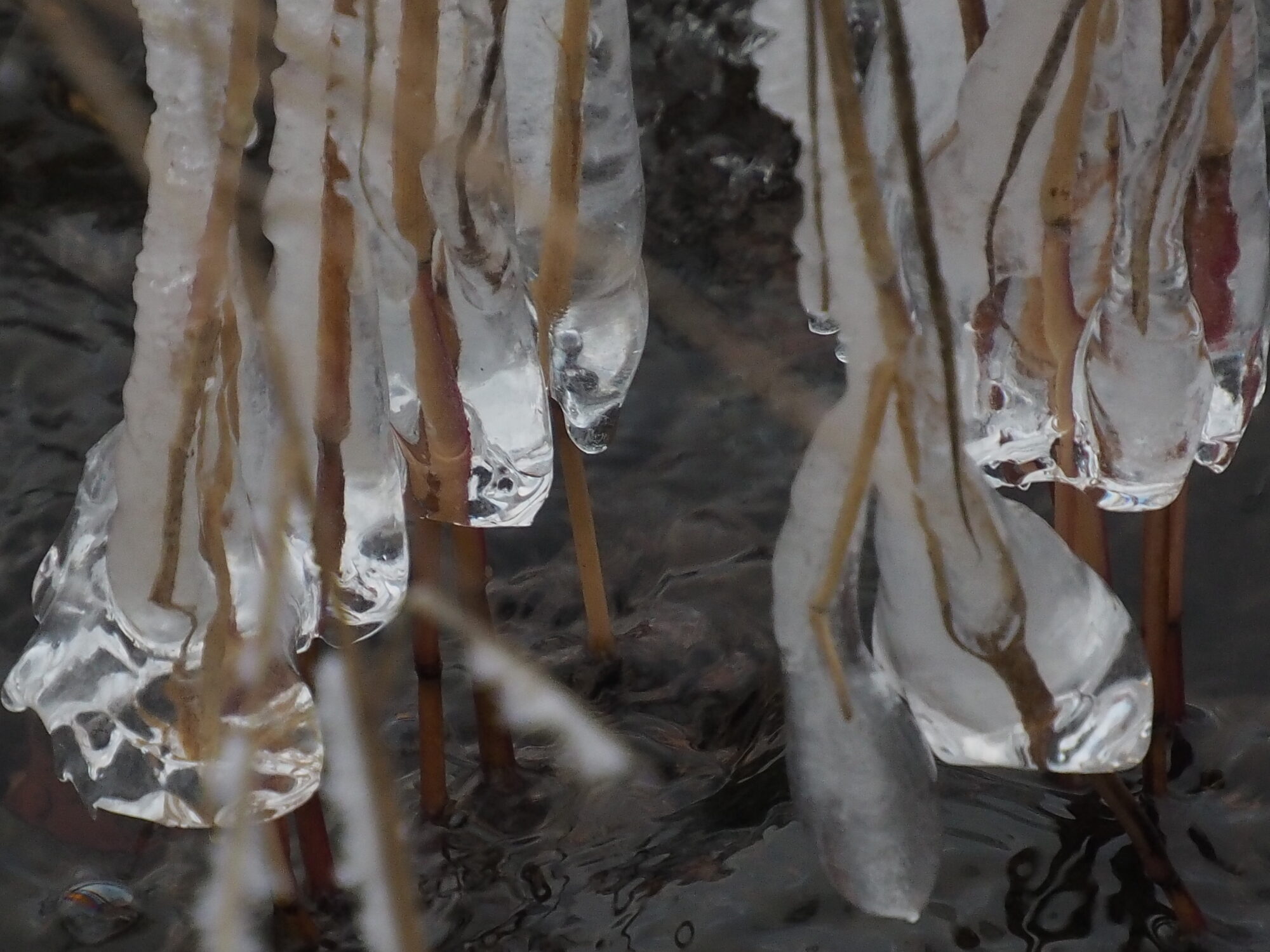 Valokuvaaja: Martti Valtonen