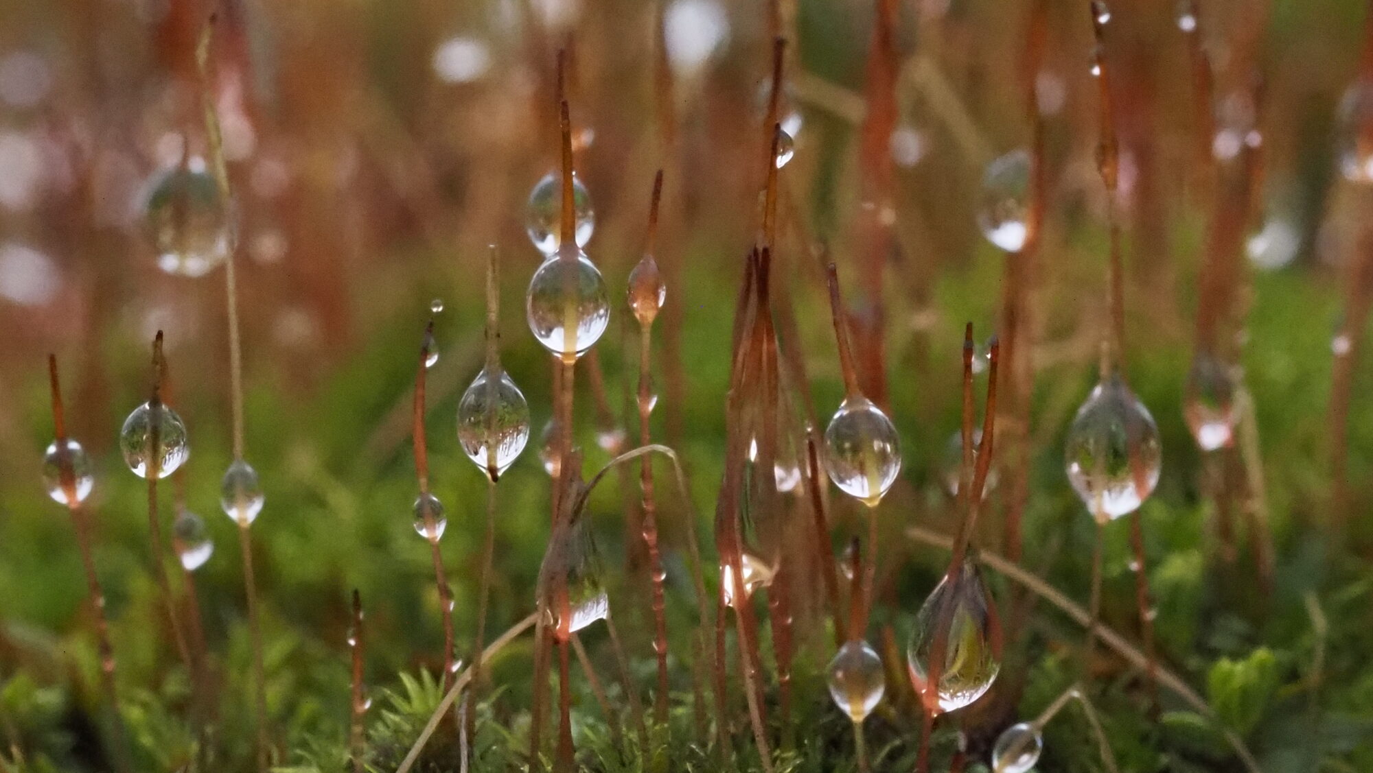 Valokuvaaja: Arja Valtonen