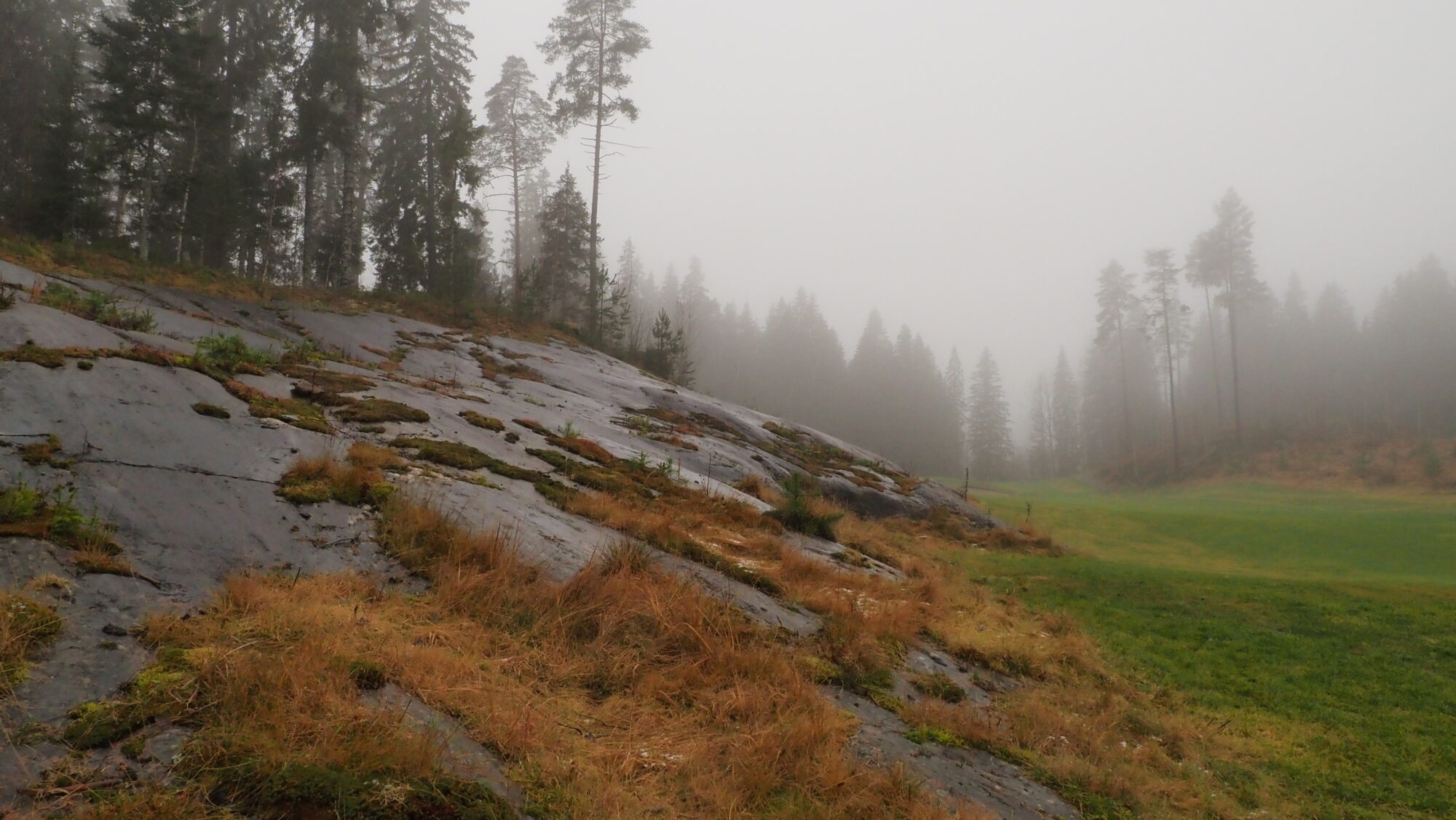 Valokuvaaja: Arja Valtonen