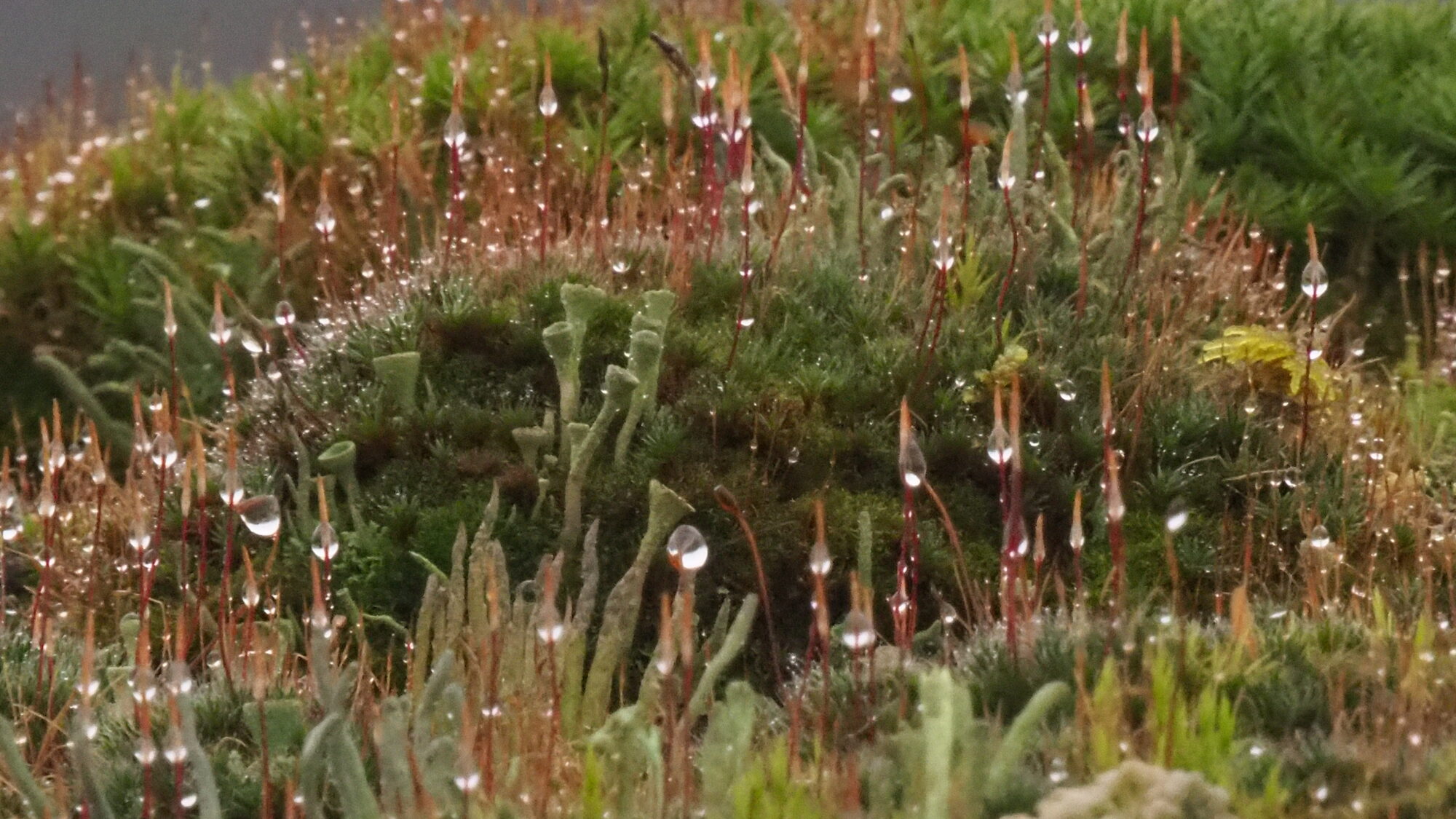 Valokuvaaja: Martti Valtonen