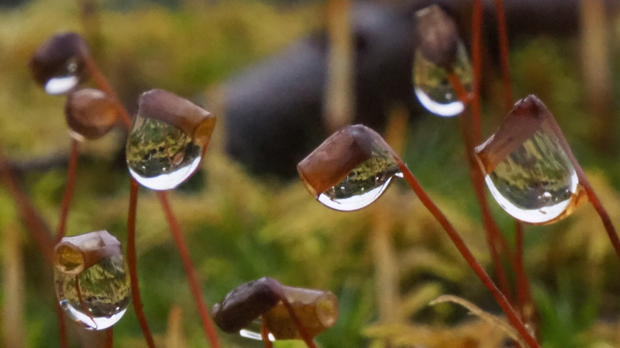 Valokuvaaja: Martti Valtonen