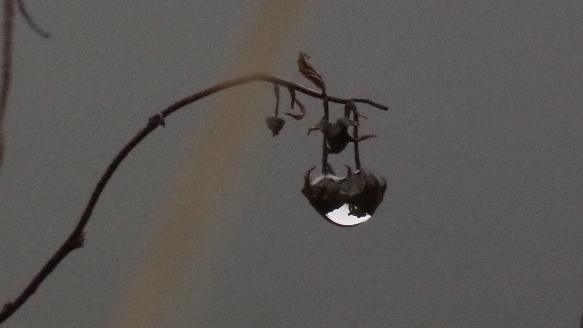 Valokuvaaja: Martti Valtonen