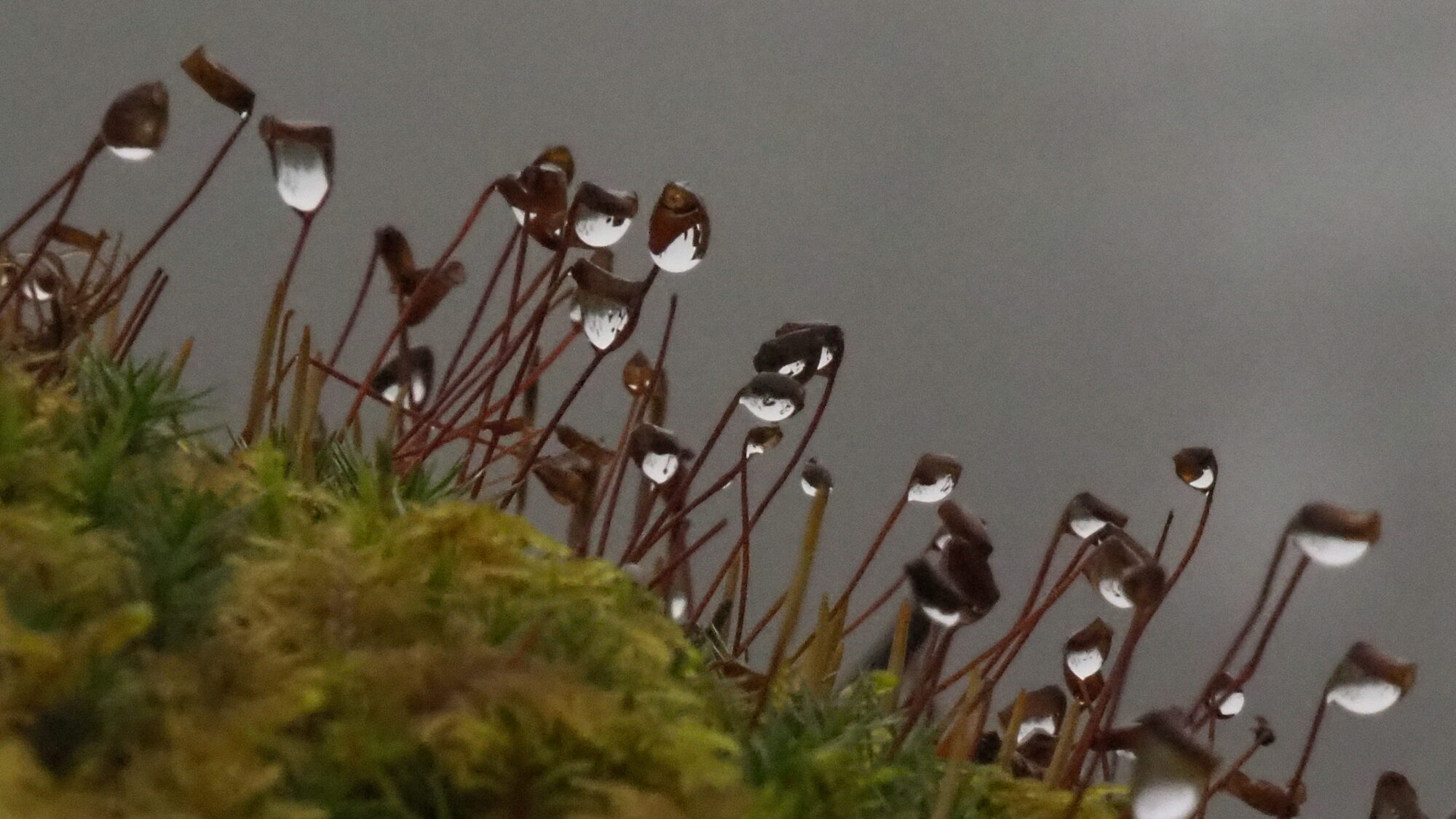 Valokuvaaja: Martti Valtonen