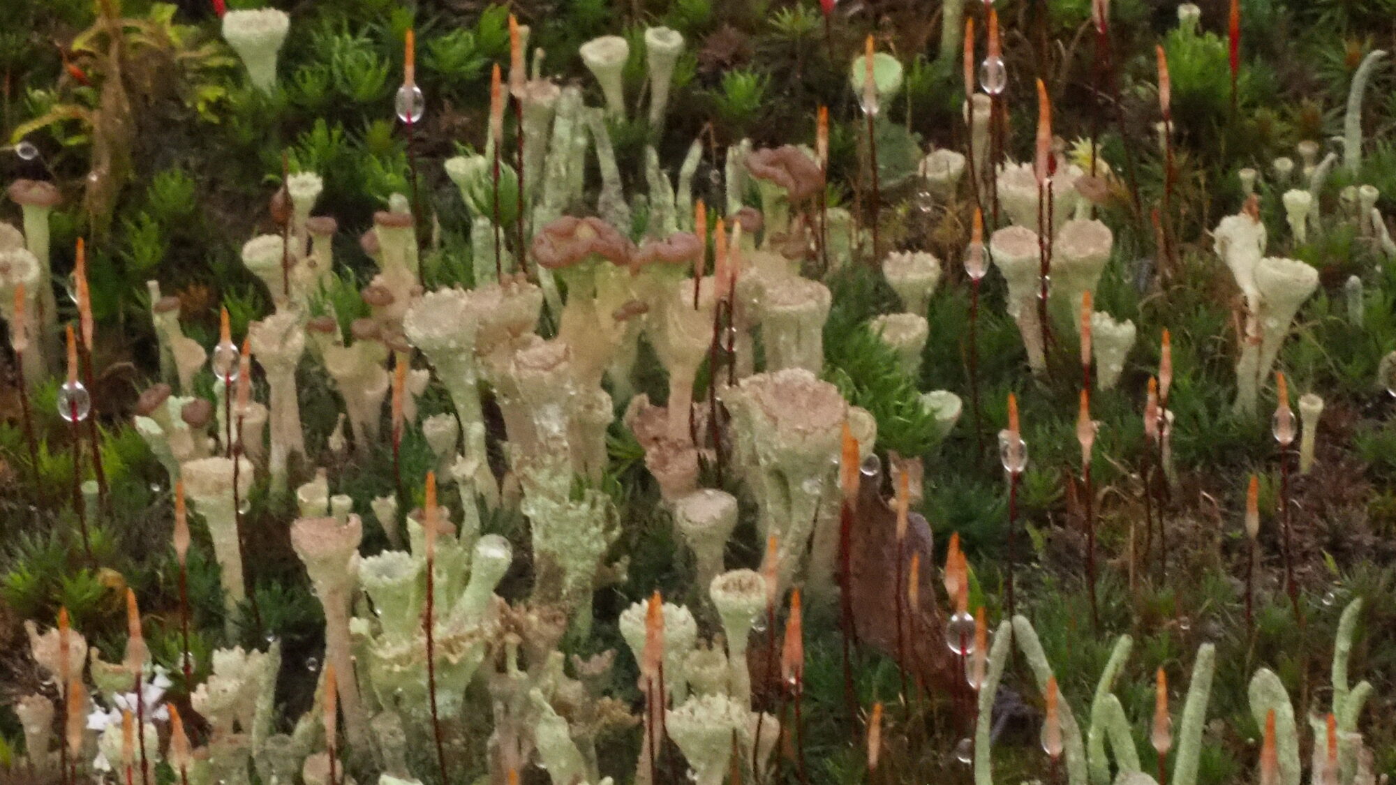 Valokuvaaja: Martti Valtonen