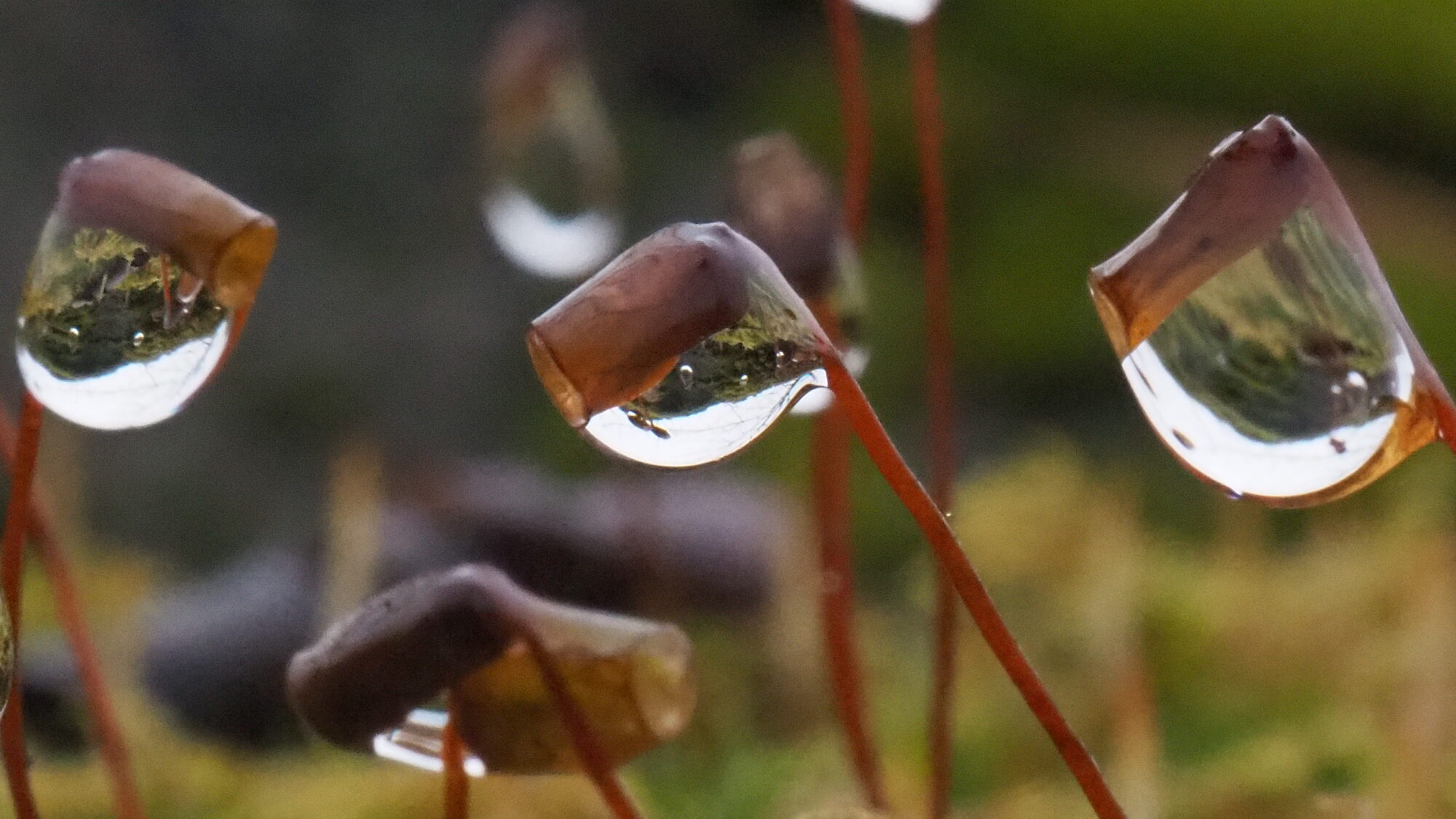 Valokuvaaja: Martti Valtonen