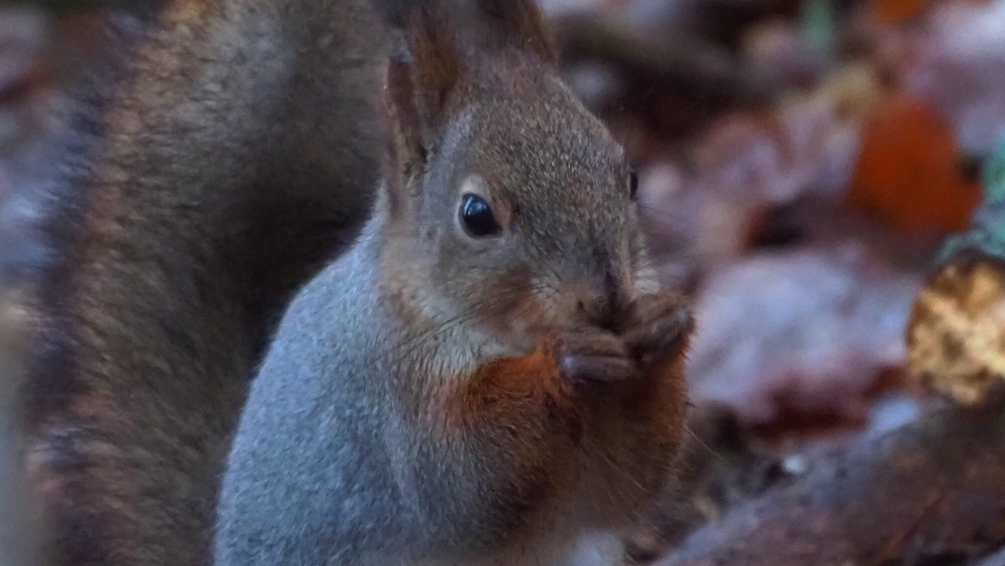 Valokuvaaja: Arja Valtonen