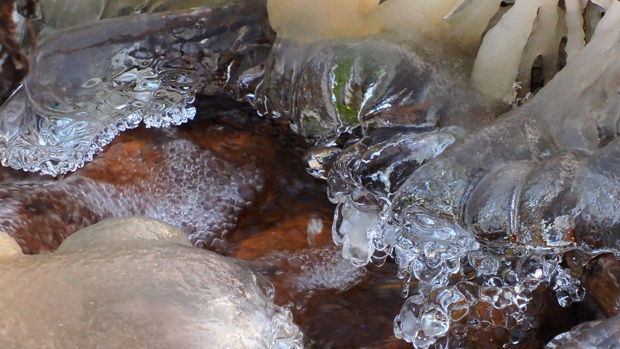 Valokuvaaja: Arja Valtonen