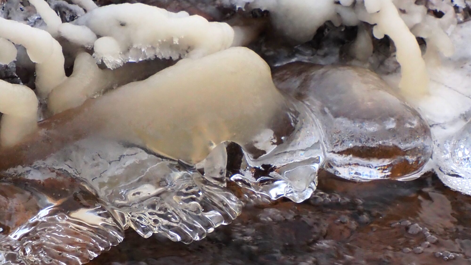 Valokuvaaja: Arja Valtonen