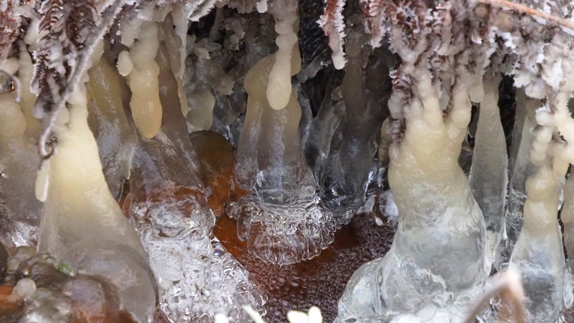 Valokuvaaja: Arja Valtonen