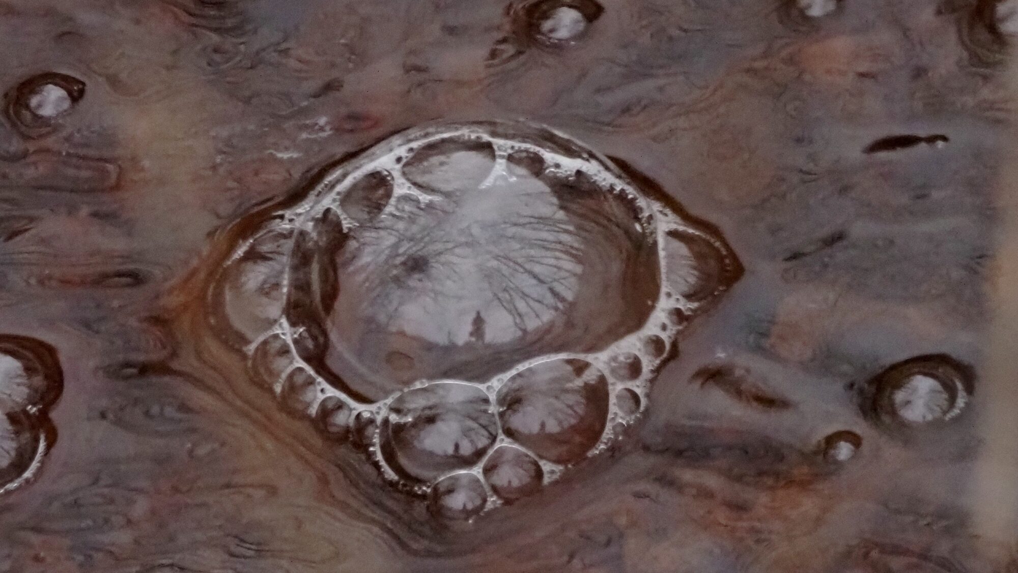 Valokuvaaja: Arja Valtonen