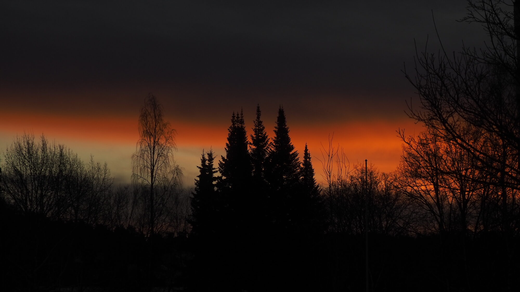 Valokuvaaja: Martti Valtonen