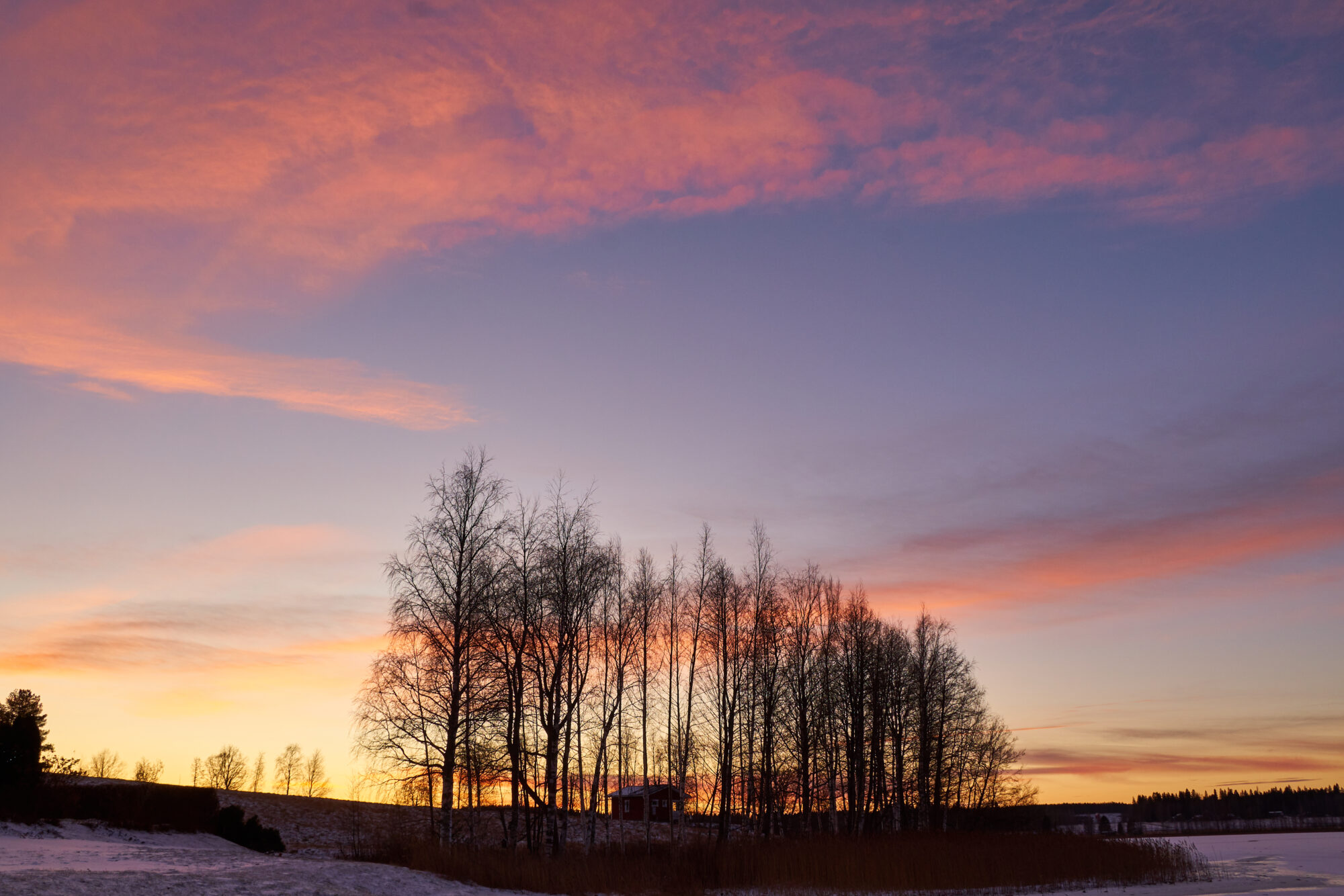 Valokuvaaja: Tarja Kouvo