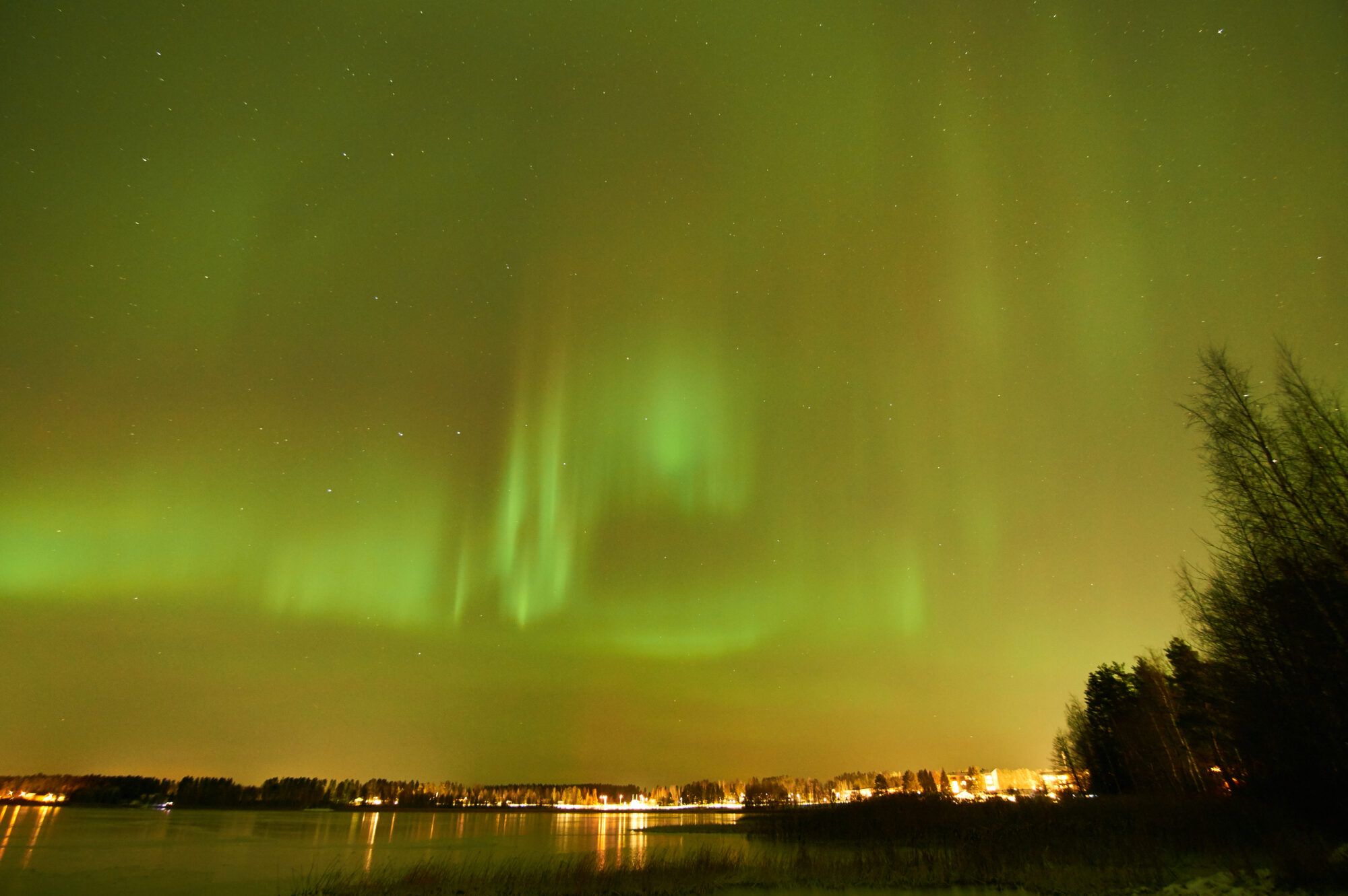 Valokuvaaja: Tarja Kouvo