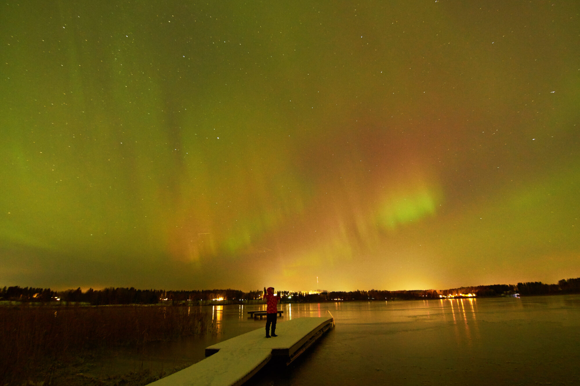 Valokuvaaja: Tarja Kouvo