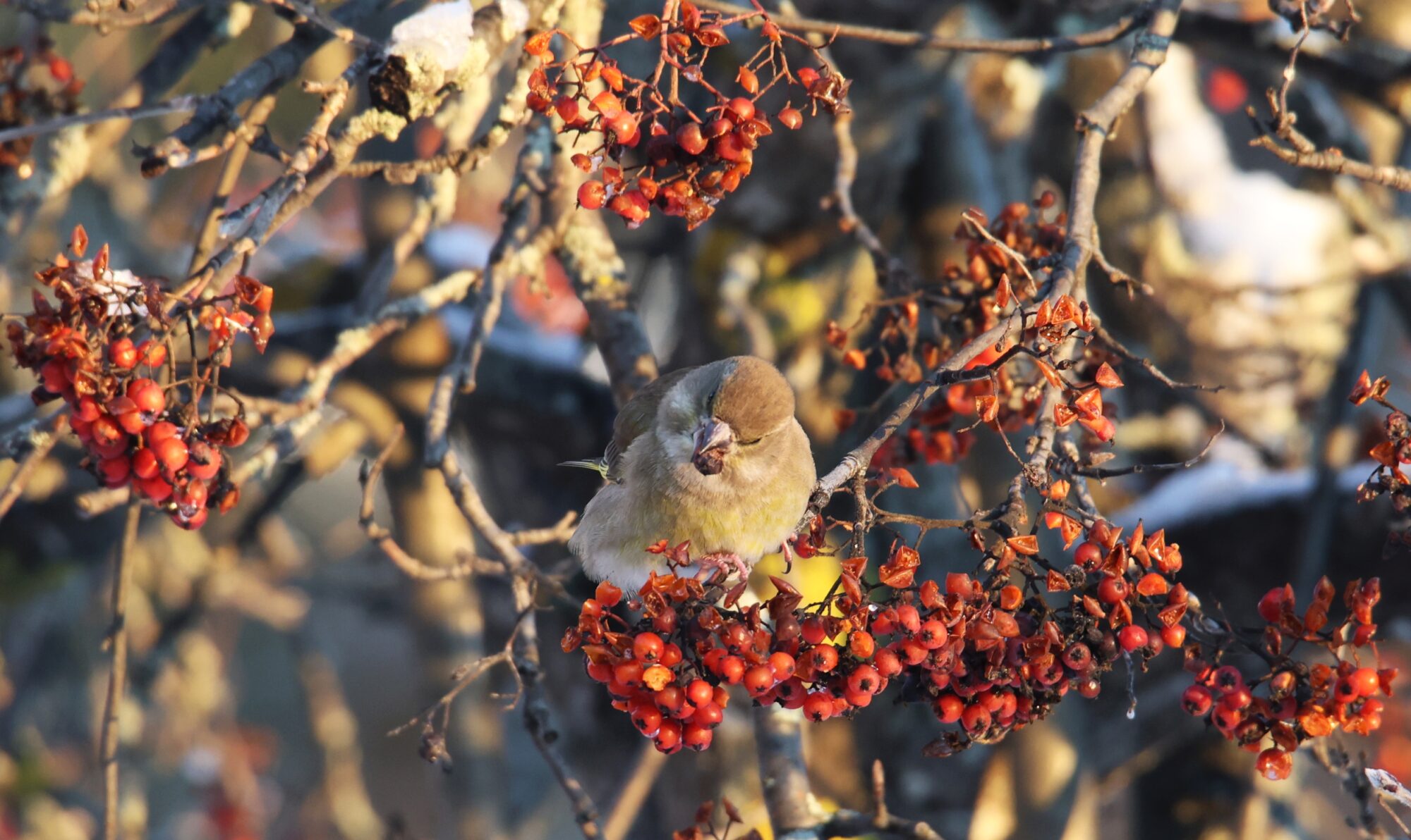Valokuvaaja: Jaana Saarelainen