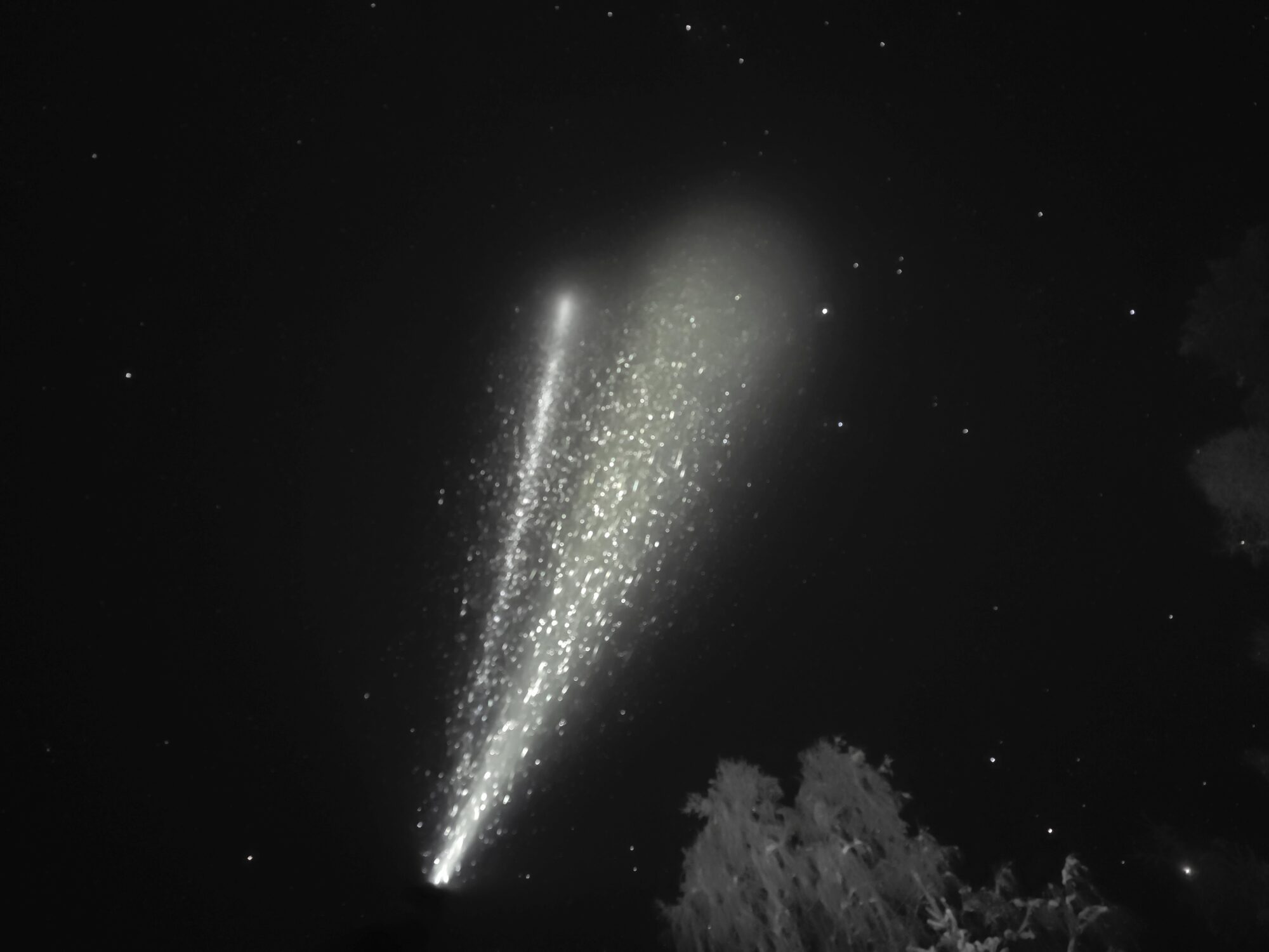 Valokuvaaja: Jaana Saarelainen