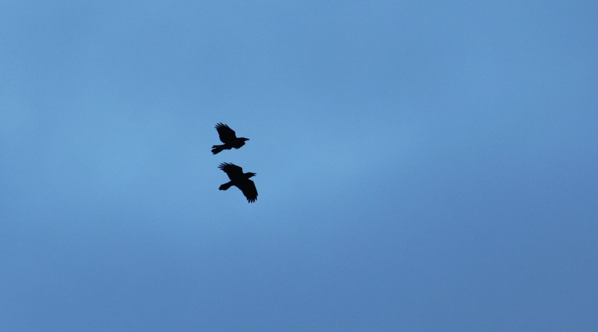 Valokuvaaja: Jaana Saarelainen