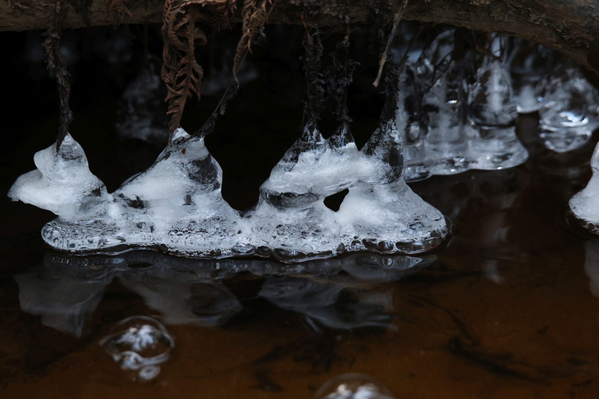 Valokuvaaja: Jaana Saarelainen
