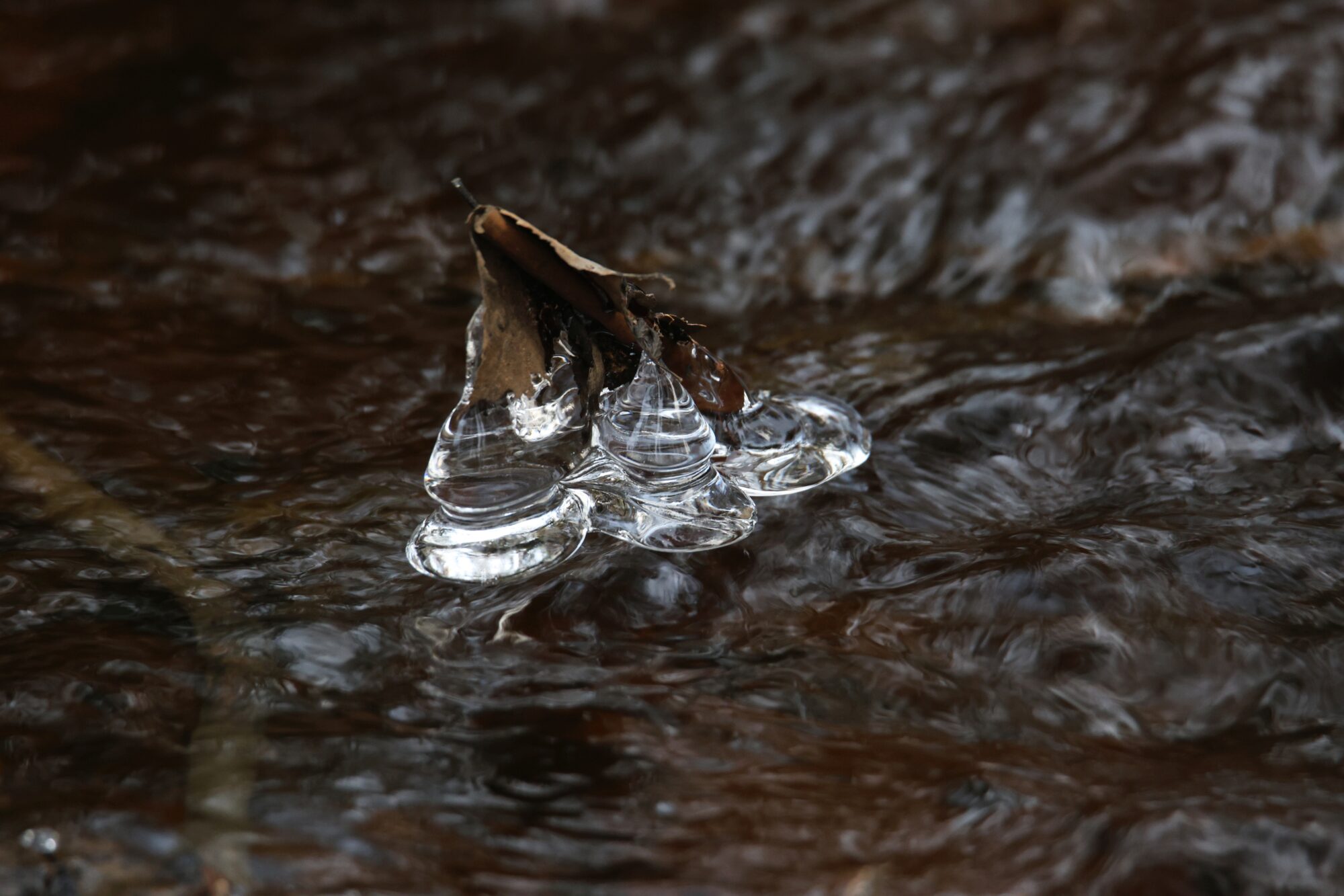 Valokuvaaja: Jaana Saarelainen