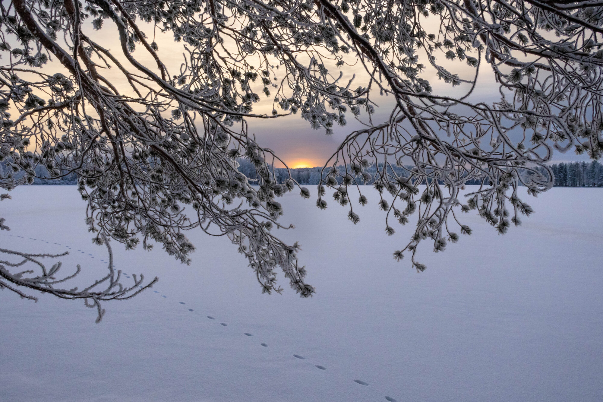 Valokuvaaja: Hannu Tikkanen