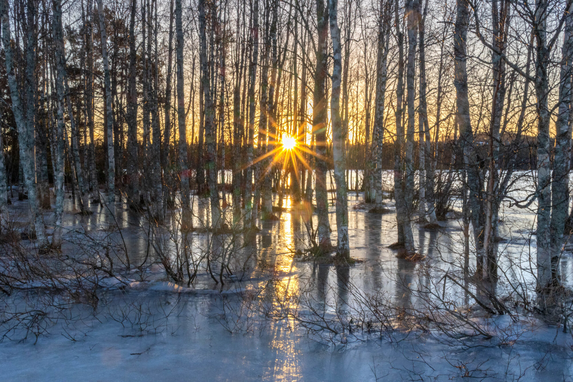 Valokuvaaja: Hannu Tikkanen