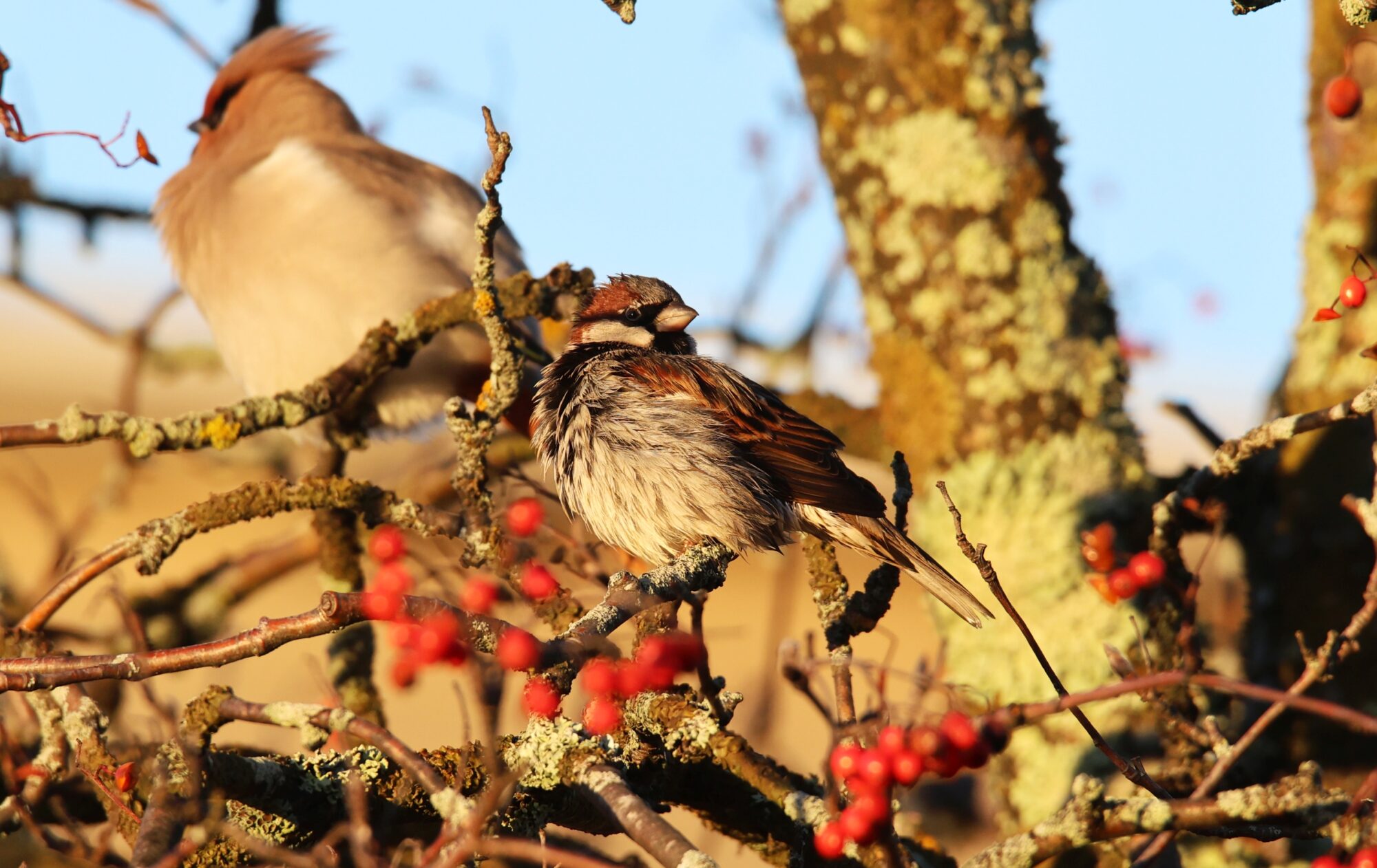 Valokuvaaja: Jaana Saarelainen
