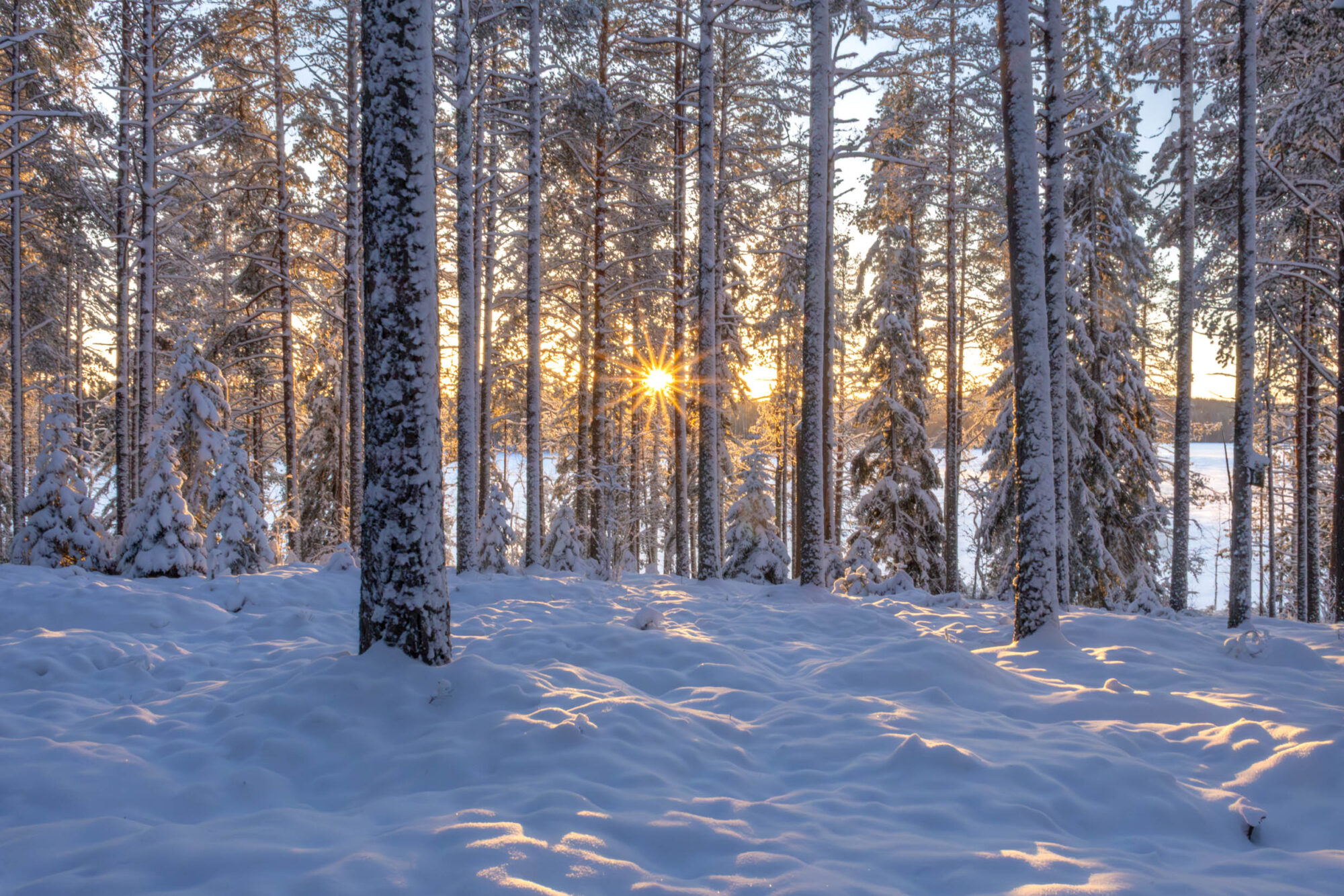 Valokuvaaja: Hannu Tikkanen