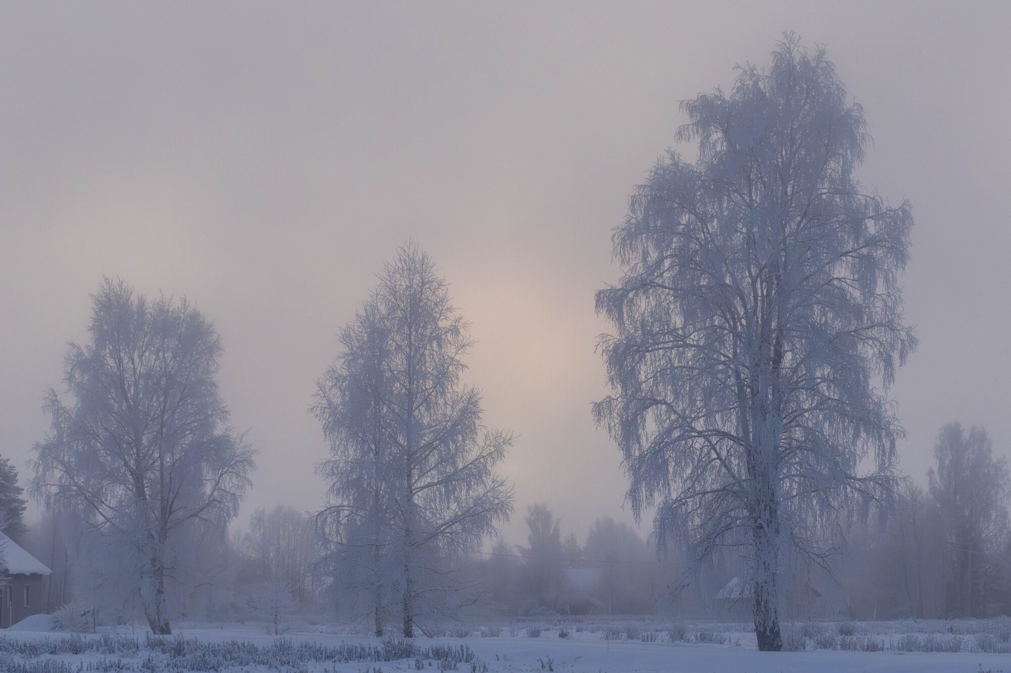 Valokuvaaja: Hannu Tikkanen