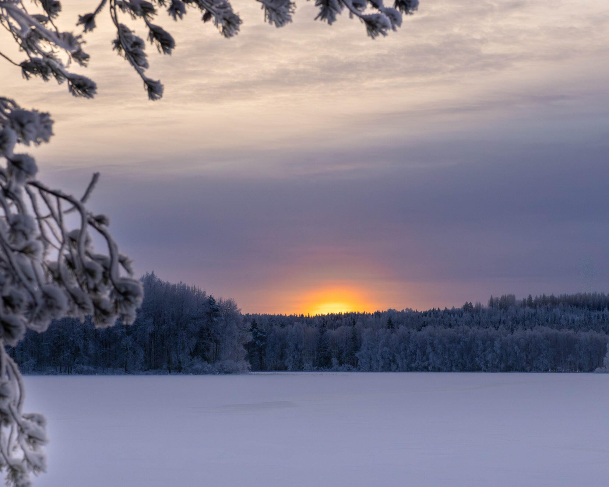 Valokuvaaja: Hannu Tikkanen