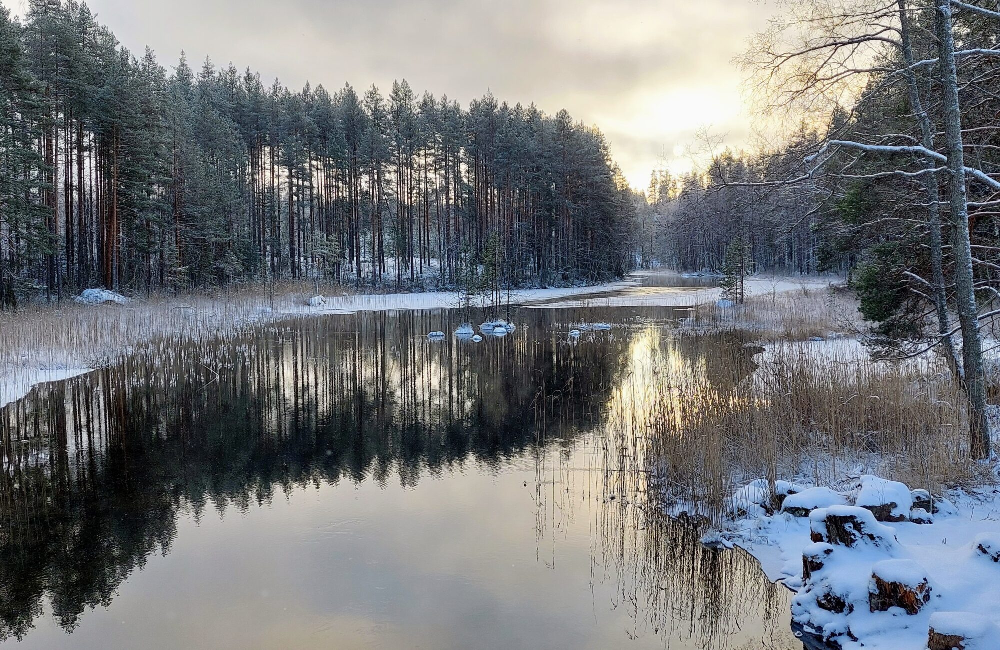 Valokuvaaja: Tarja Naukkarinen