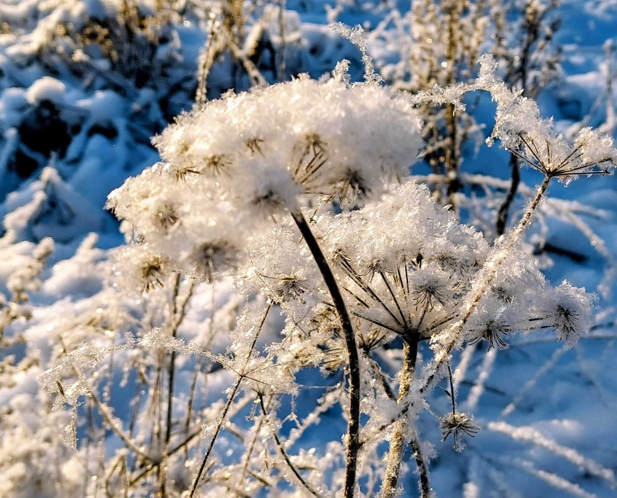 Valokuvaaja: Tarja Naukkarinen