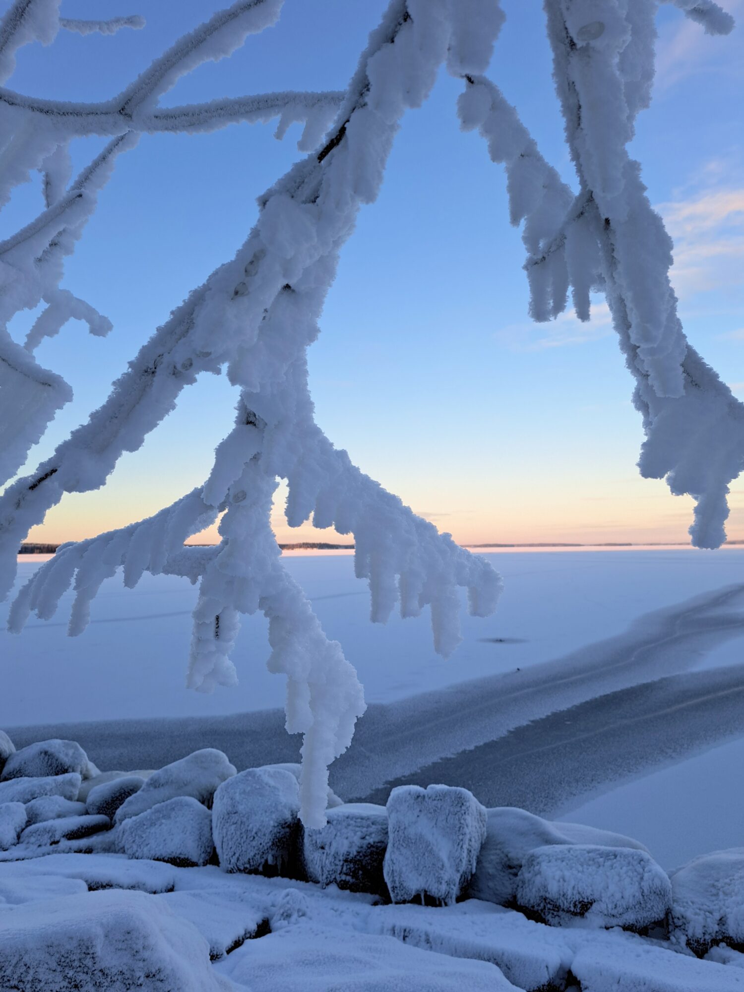 Valokuvaaja: Irja Lehtinen