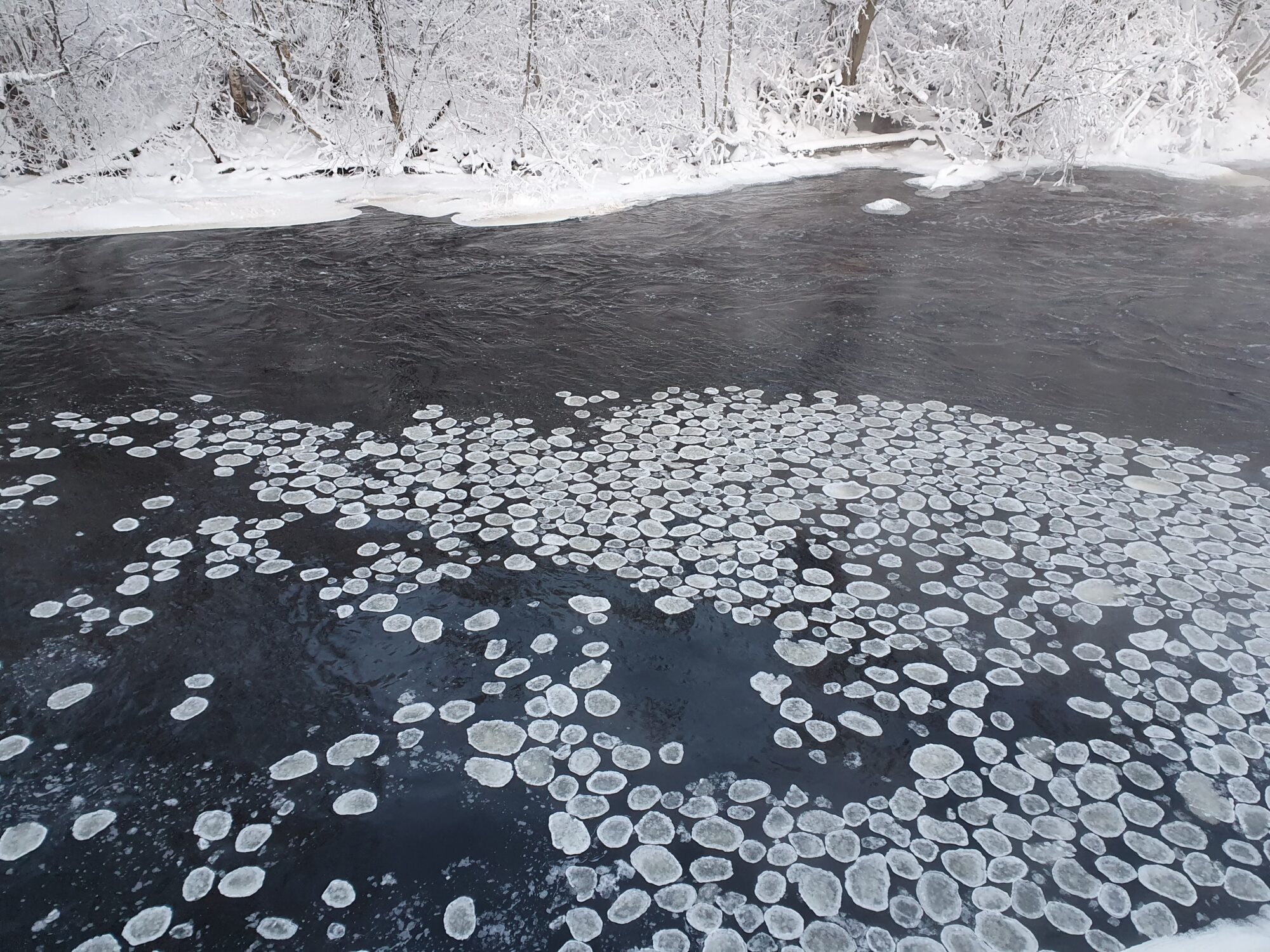 Valokuvaaja: Pirkko Tuulihovi