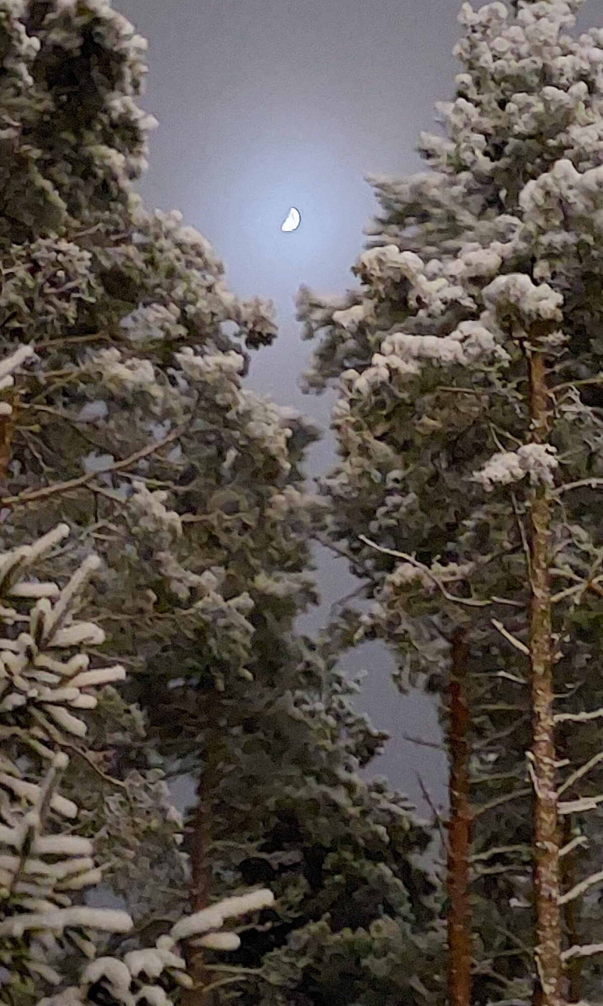 Valokuvaaja: Tarja Naukkarinen