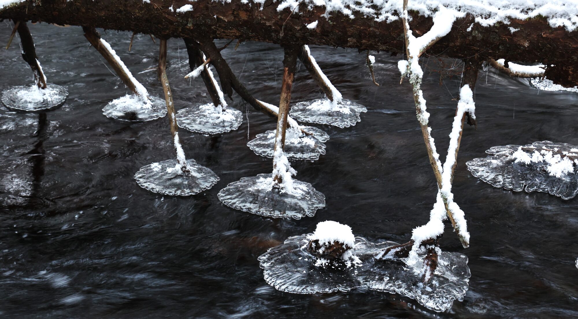 Valokuvaaja: Kaarina Heiskanen