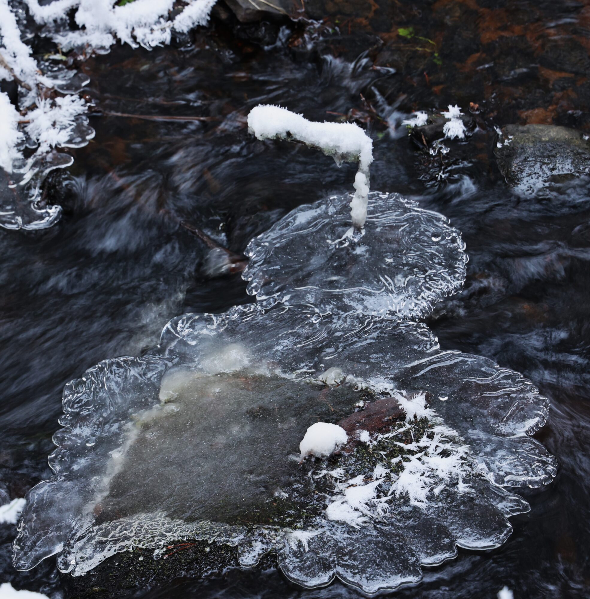 Valokuvaaja: Kaarina Heiskanen