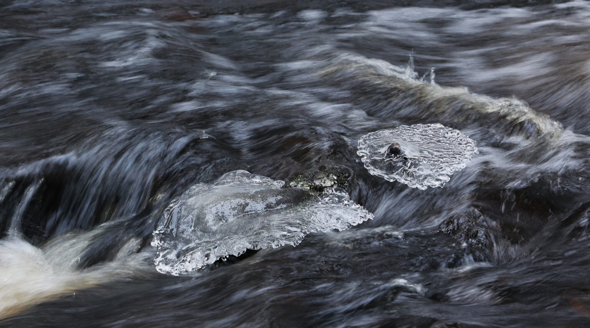 Valokuvaaja: Kaarina Heiskanen