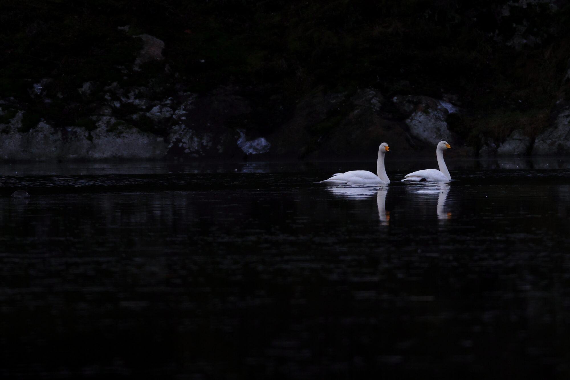 Valokuvaaja: Jouni Kalliomäki