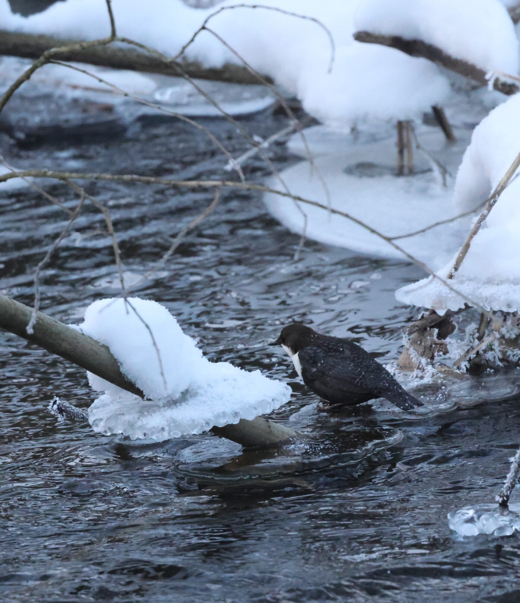 Valokuvaaja: Hanna Rönty