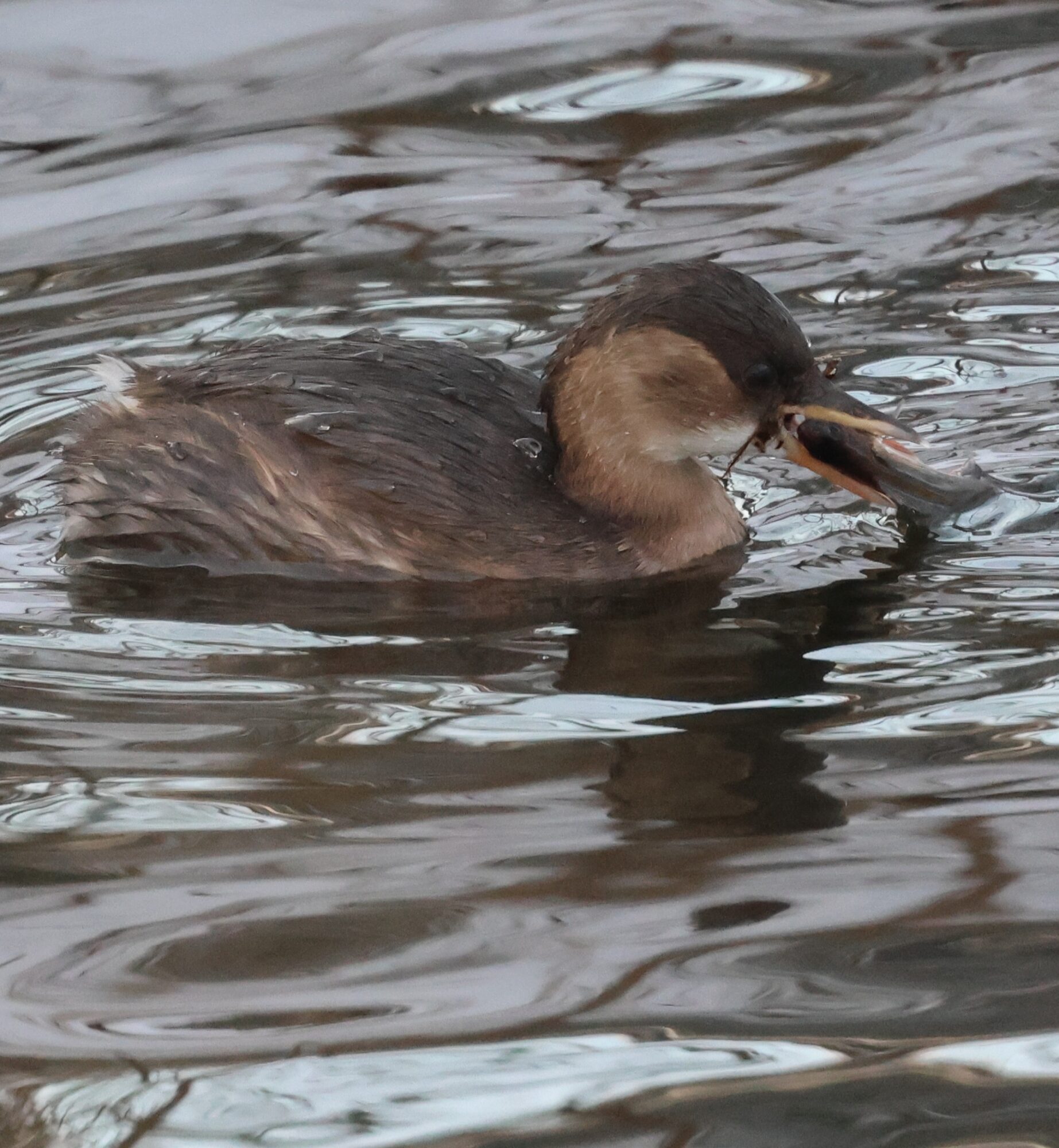 Valokuvaaja: Hanna Rönty