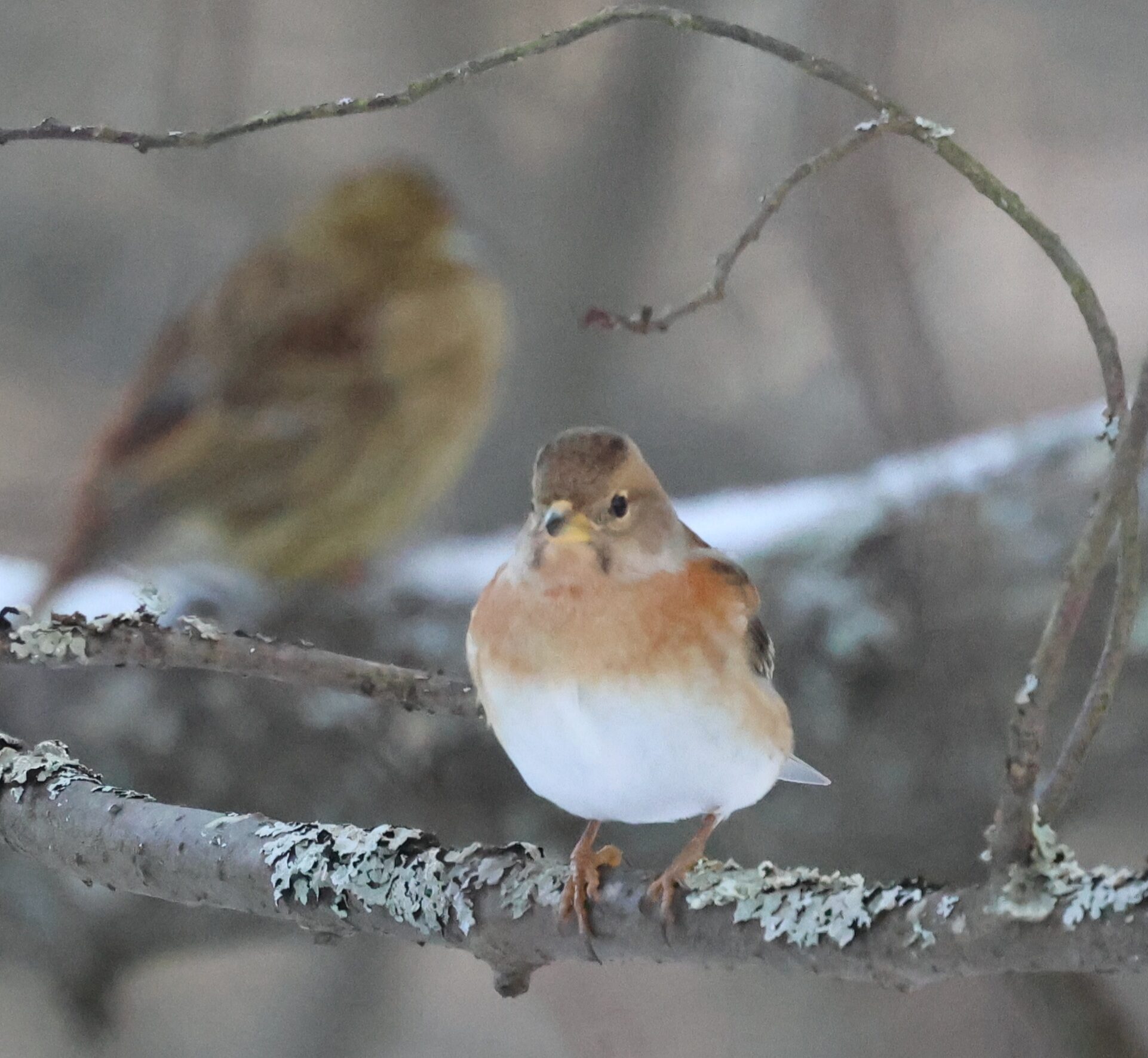 Valokuvaaja: Hanna Rönty