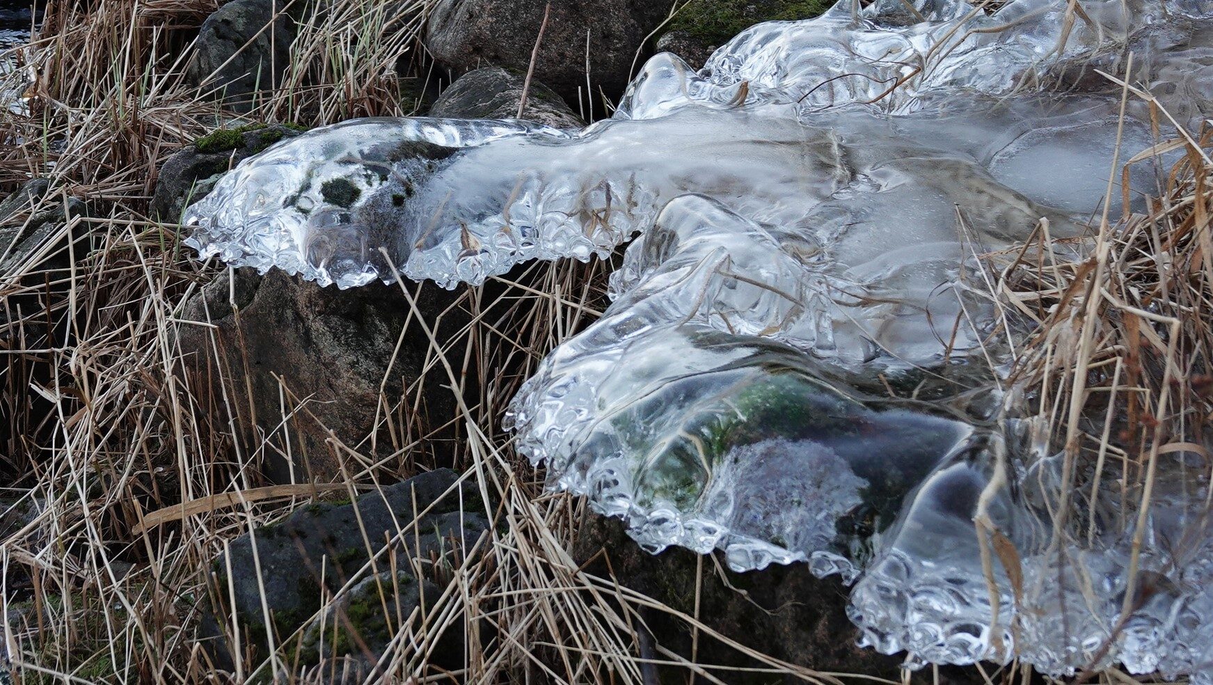 Valokuvaaja: Kaarina Heiskanen