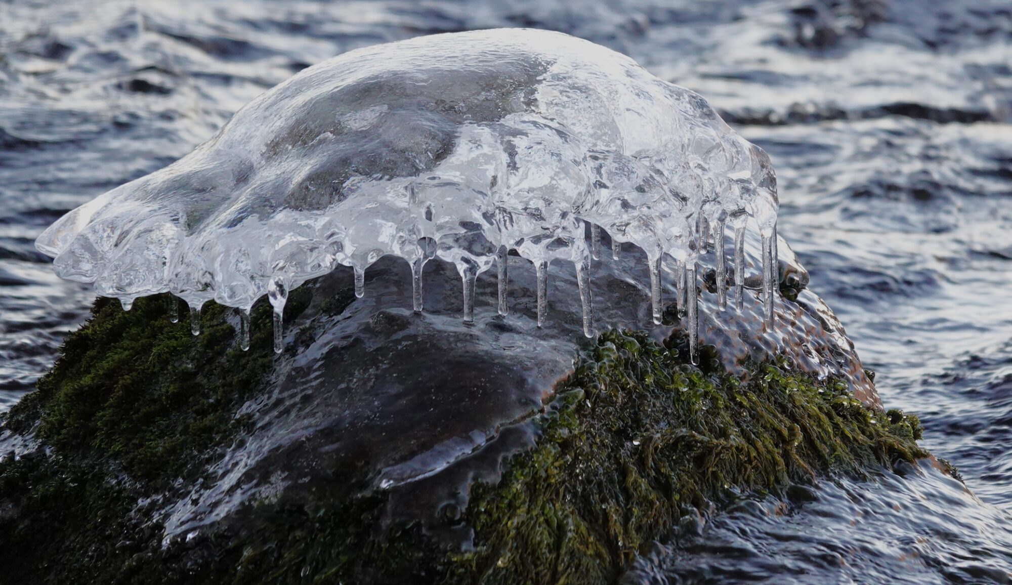 Valokuvaaja: Kaarina Heiskanen@dnainternet.net
