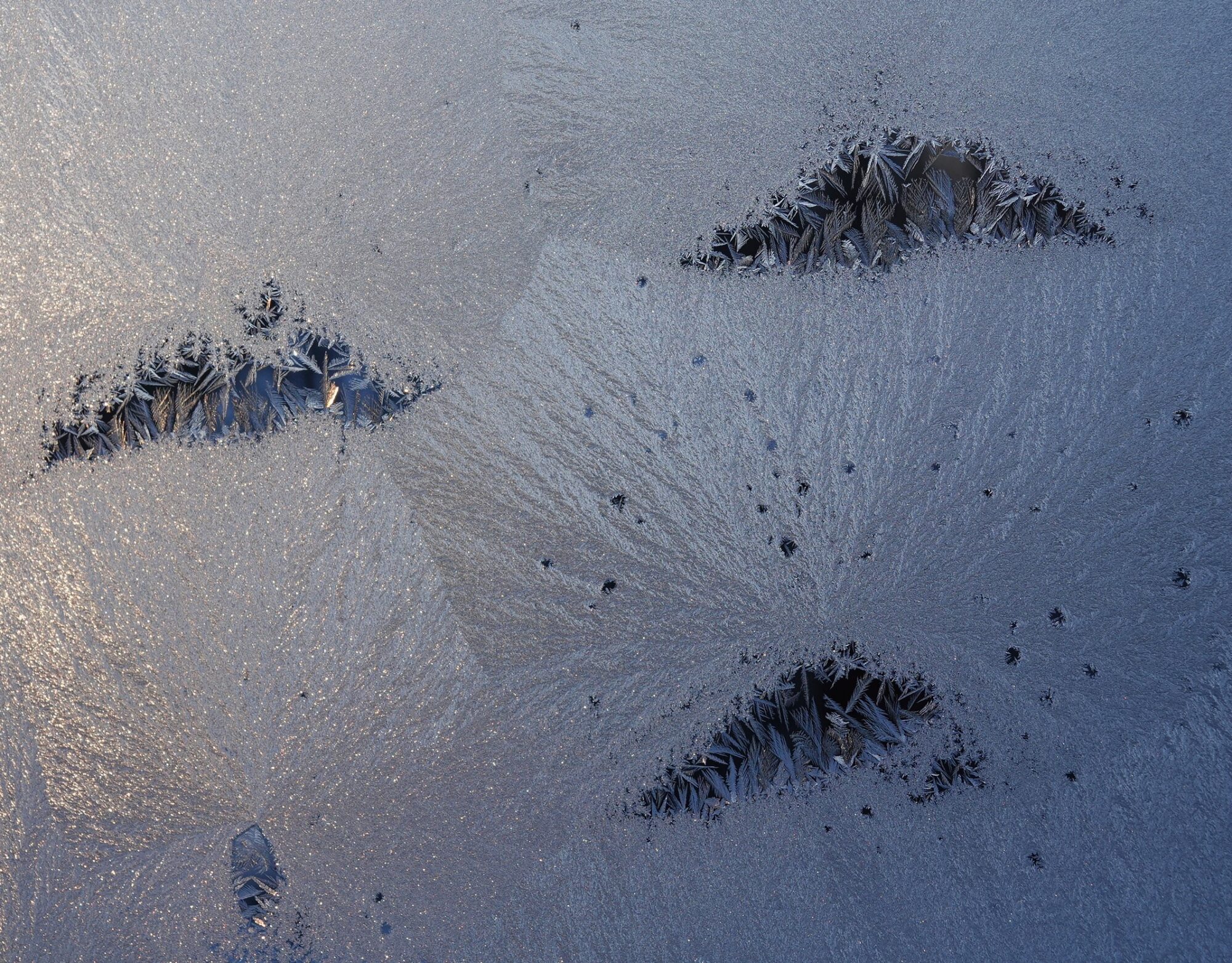 Valokuvaaja: Kaarina Heiskanen