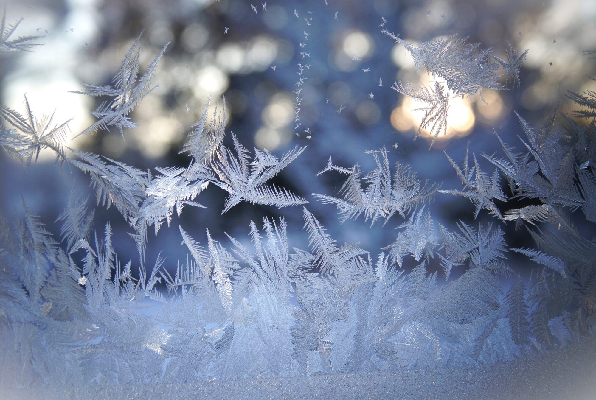 Valokuvaaja: Kaarina Heiskanen