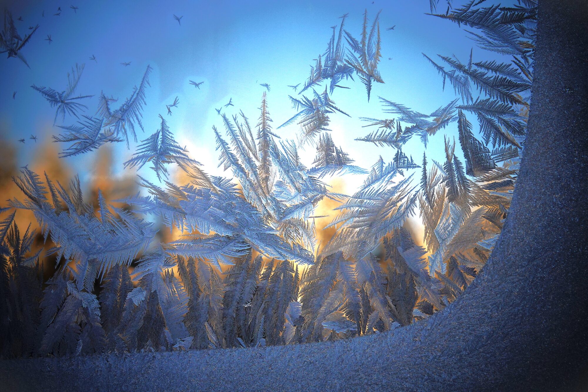 Valokuvaaja: Kaarina Heiskanen