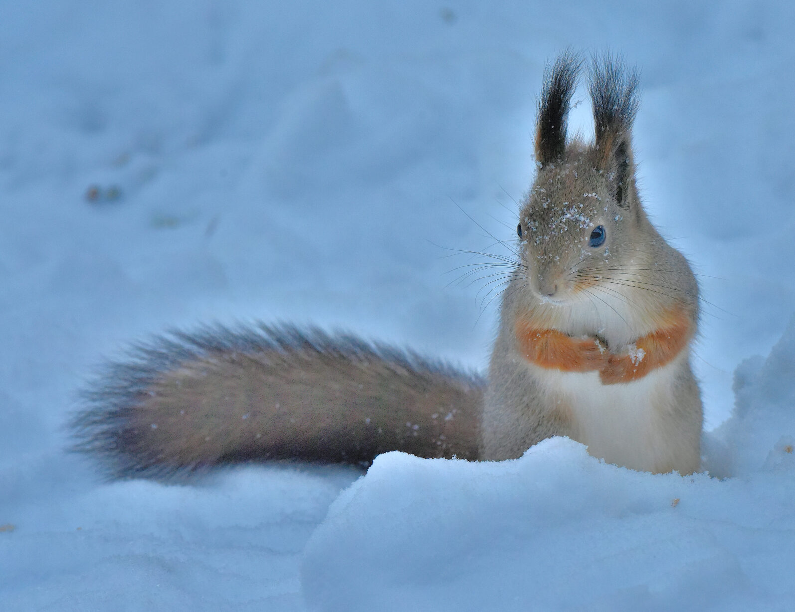 Valokuvaaja: Reijo Juurinen