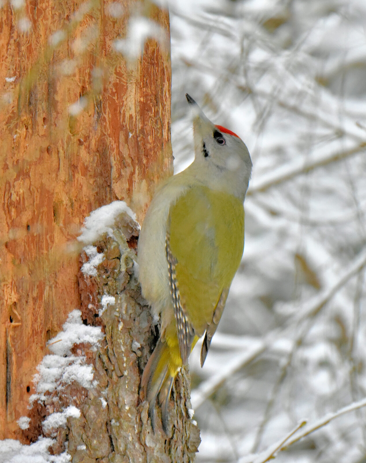 Valokuvaaja: Reijo Juurinen